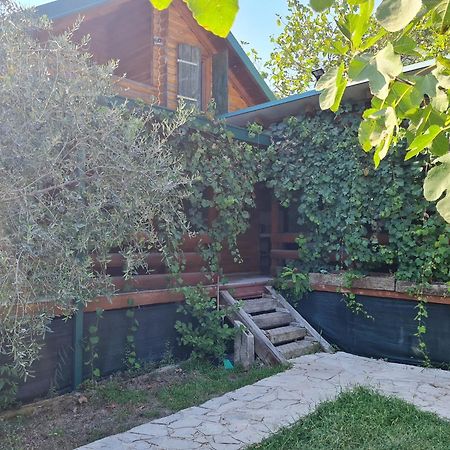 Holiday Home Kite House Ulcinj Ngoại thất bức ảnh